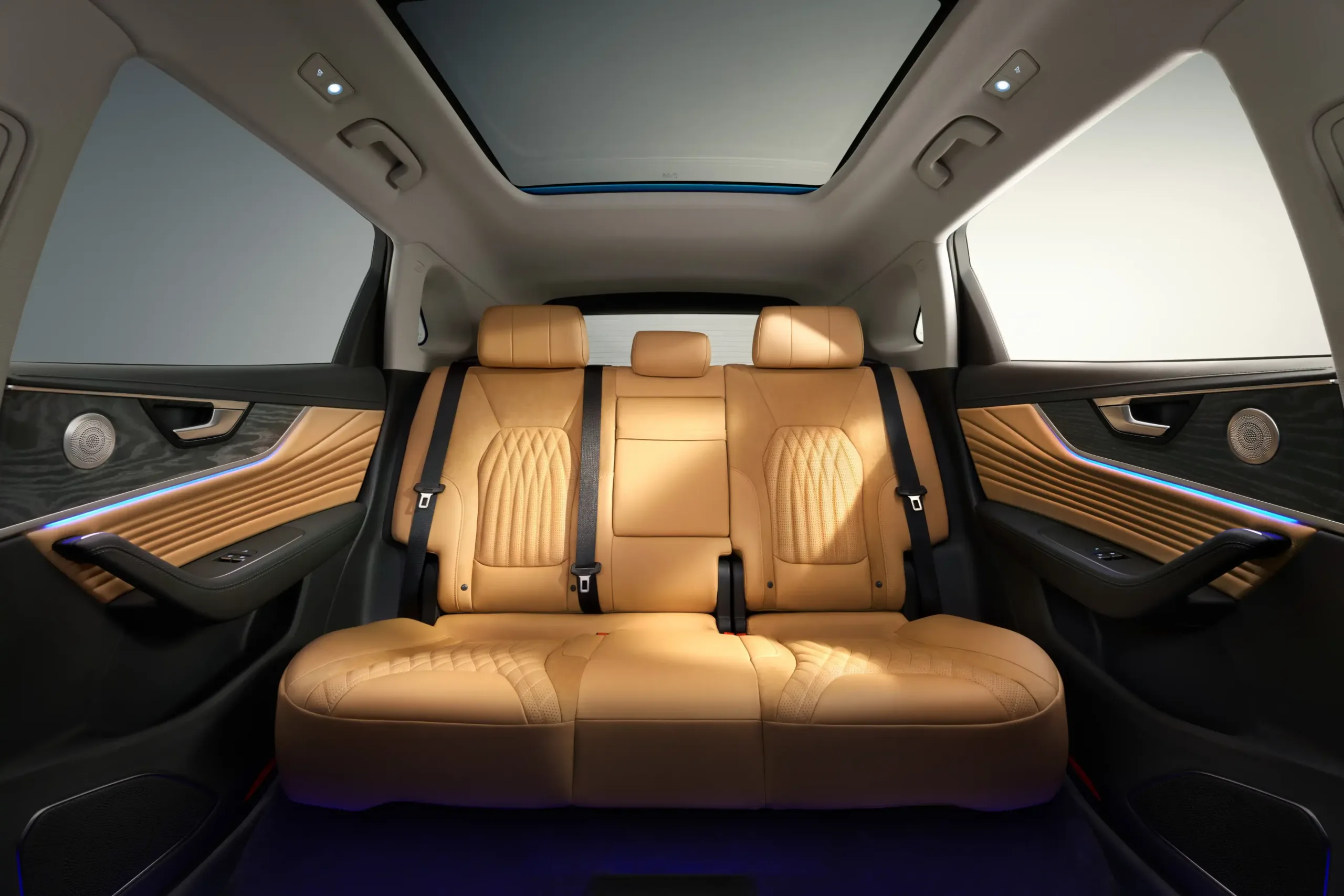 Hongqi HS5 10 Hongqi HS5